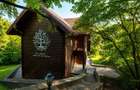 Mountain Chalet | Private Resort | Investment - Nistoresti - 8