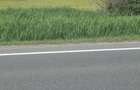 Teren de vanzare in huedin - 2