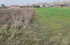 Teren intavilan in Bals - 1