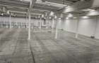 Spatiu Industrial - 5000 mp - Logistica - Depozitare - Distributie - 12