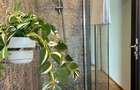 Apartament Art Deco unic, renovat-Stirbei Voda-Comision 0% - 15
