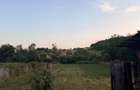 Casă cu 4 camere cu Teren 3500 Mp în Husnicioara