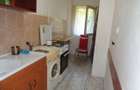 Apartament 1 camera UTA etaj 2 pret 45.000 EURO - 5