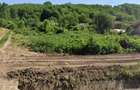 Teren intravilan 2.000 mp DN28, la doar 38 km de Ia?i | 30.000