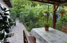 De Vanzare Casa Familiala In Centrul Orasului Tasnad - 4