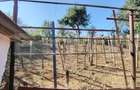 Vanzare casa cu 3 camere in Bardesti, 1600 mp teren - 2