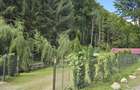 Cabana de inchiriat Valea Bratcutei - 3