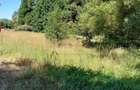 Teren Intravilan In Marga-La Dn68 Jud.caras-Severin - 6