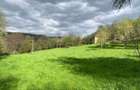 Vand urgent! Mada Muntii Apuseni! casa teren intravilan,10.000mp toate actele i regula, foarte linistit, in mijlocul naturii la 30 min de Geoagiu-Bai! - 2