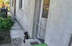 Casă cu 2 camere în Jilava - 2