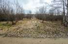 Teren extravilan 2200 mp, zona Calea Poplăcii, la 5 min de Valea Aurie - 5
