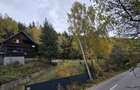 CABANA la munte, intabulata, renovata, mobilata, cu centrala si soba noi (lemne) - 15