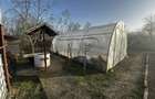Proprietate Lunca Corbului jud arges 2600 mp - 3