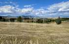 Teren de vanzare-ideal pentru cabane-lângă pârtia de schi din Toplița