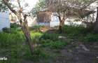 Teren intravilan | 411 mp | Bucurestii Noi - 1