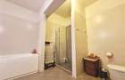 APARTAMENT 5 CAMERE KISELEFF 297 MP, SUPERB! - 21