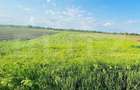 Teren 5500mp extravilan,Sat Dimoiu - 2