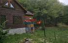 Casa de vacanta la padure | Teren 891 mp | Valea Ighielului - 8