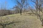 Teren extravilan in Brebu(Pietriceaua)--9104mp--50.000e - 6