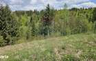 Teren 4048mp Campulung Moldovenesc, Strada Izvorul Alb, Suceava - 6