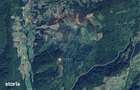 Teren pe deal cu vedere panoramica Halmagiu - Sat Brusturi - 2