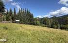 Teren intravilan 5620mp, acces public, panorama - 3