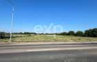 Teren intravilan premium 15.000 mp la DN61 langa Centura G - 5
