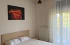 Apartament doua dormitoare inchiriat Timisoara - 7