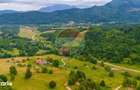 Teren intravilan 2,410mp Rasnov - Valea Panicelului, vedere panoramica - 4