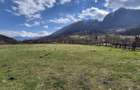 Oportunitate investitie resort/complex /pensiune ,Plaiul Foii Zarnesti - 6