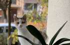 Apartament 2 dormitoare Aleea Cornisa UMF - 11