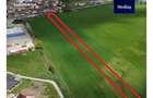 Teren intravilan de 6100 mp de vanzare Medias - 4
