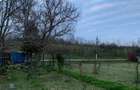 Casa de vanzare sat Tes, jud.Timis - 2