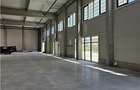 Spatiu Comercial - 550 mp - Zona Comerciala Nord - 12