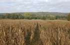 Teren agricol sat.Voroveni