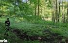 Teren de 440 mp, în Dumbrăvița - 6