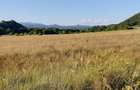 Teren de 16500 mp, în Tomești - 4
