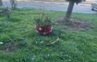 Apartament de vanzare cu doua camere la parter - 1