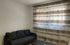 Apartament cu 2 camere semidecomandat în Ozana - 5