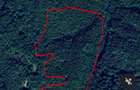 Vand 10 Hectare Padure Fag Tei Carpen