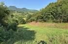 Vand teren extravilan/intravilan - 8