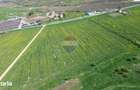 Teren de vanzare sau inchiriat 19ha intravilan, Agnita,Sibiu - 3