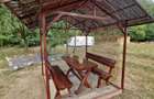 Proprietate de vis la munte | Foisor + Cabanuta | Utilitati complete - 1
