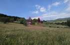 Teren intravilan de vanzare 3500 mp in Valea Doftanei - 3
