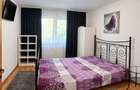 Apartament cu 2 camere de inchiriat Cartierul Brancusi - 2