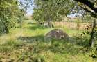 Teren extravilan de vanzare, 4000 mp, zona Simeria - 5