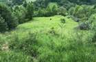 Vand teren in valea Doftanei- florei - 1