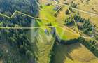 Teren Fundata, Brasov, intravilan, extravilan. COMISION 0% pret bun - 1