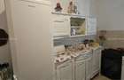 Casa individuala cu spa?iu comercial, P+M, 2 apartamente, 3 terase, Timi?oara, Lipovei, comision 0% - 4