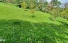 Vand teren superb la munte - 5